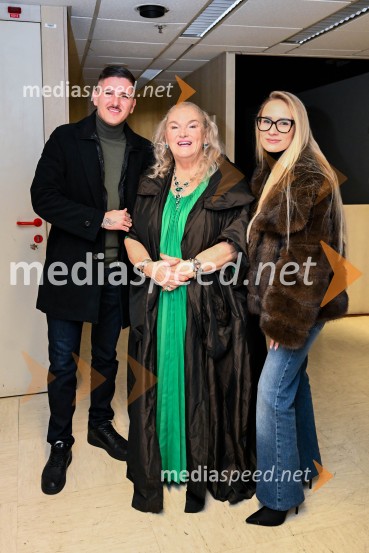 Elda Viler, veličastni poslovilni koncert, Cankarjev dom