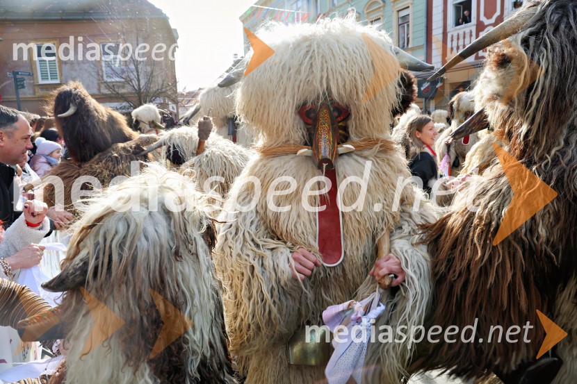 Mednarodna pustna karnevalska povorka 2026, Ptuj