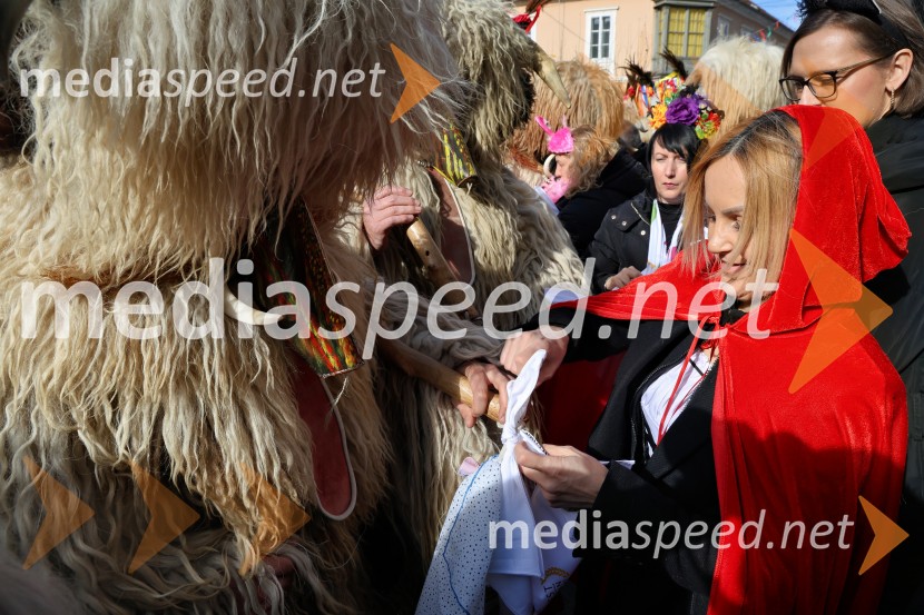 Mednarodna pustna karnevalska povorka 2026, Ptuj