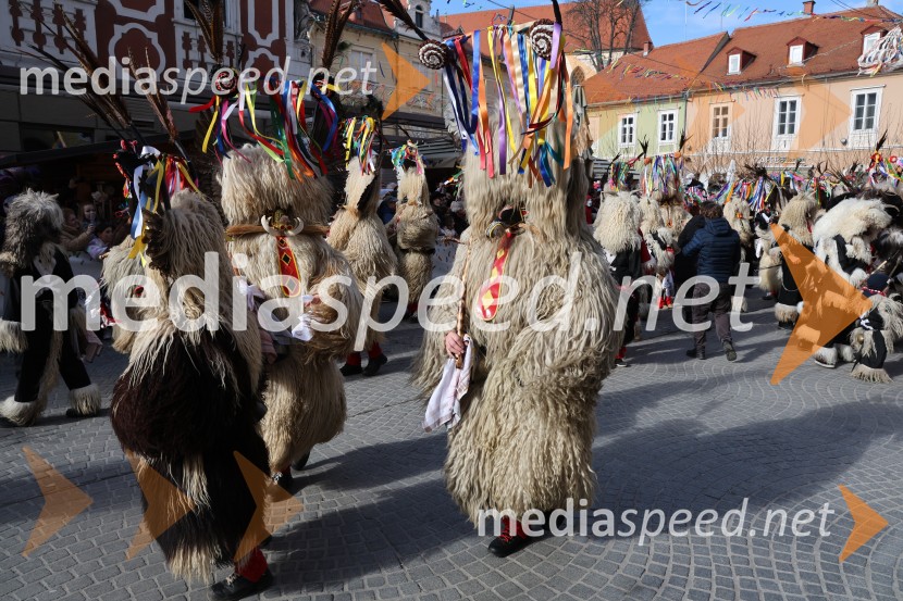 Mednarodna pustna karnevalska povorka 2026, Ptuj