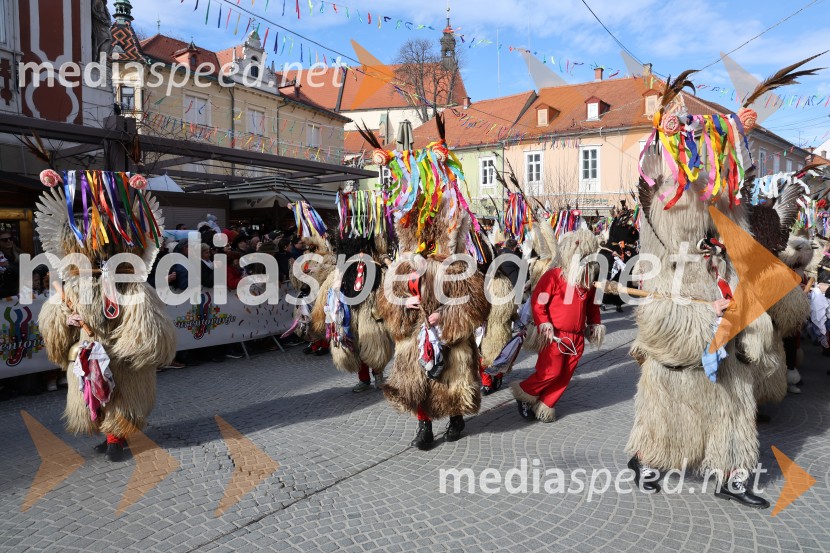 Mednarodna pustna karnevalska povorka 2026, Ptuj