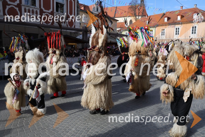 Mednarodna pustna karnevalska povorka 2026, Ptuj