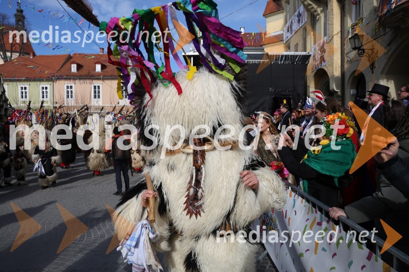 Mednarodna pustna karnevalska povorka 2026, Ptuj