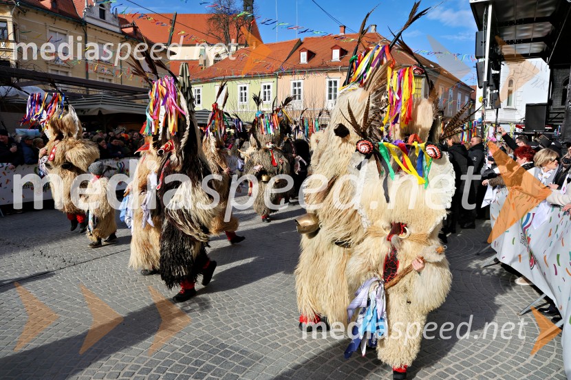 Mednarodna pustna karnevalska povorka 2026, Ptuj