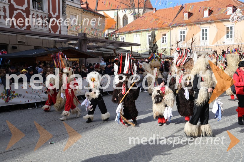 Mednarodna pustna karnevalska povorka 2026, Ptuj