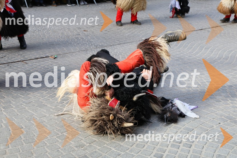 Mednarodna pustna karnevalska povorka 2026, Ptuj