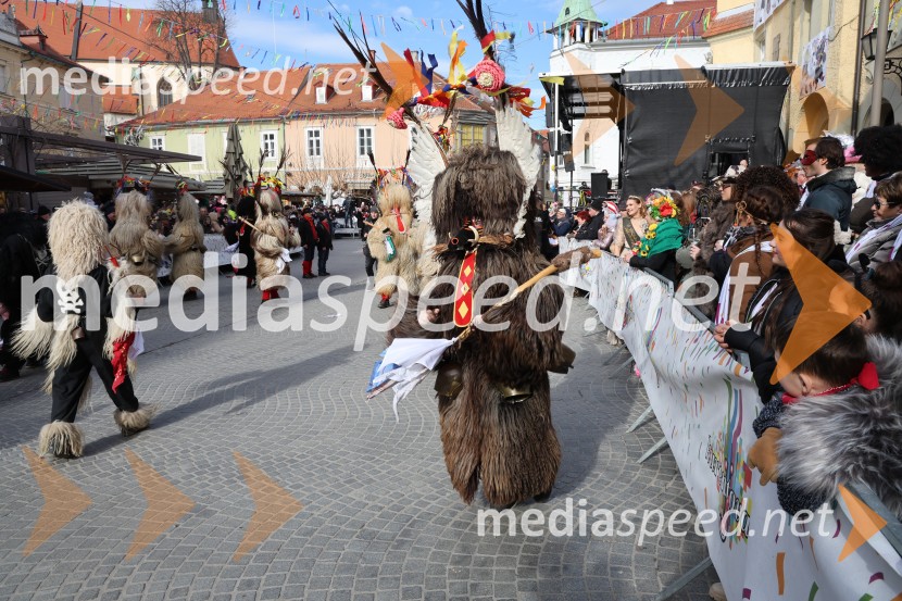 Mednarodna pustna karnevalska povorka 2026, Ptuj