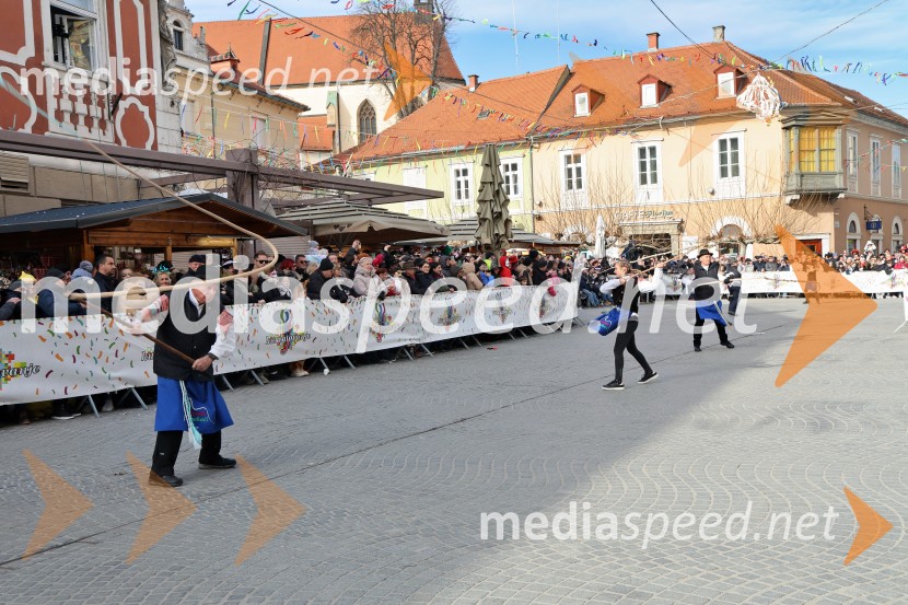 Mednarodna pustna karnevalska povorka 2026, Ptuj