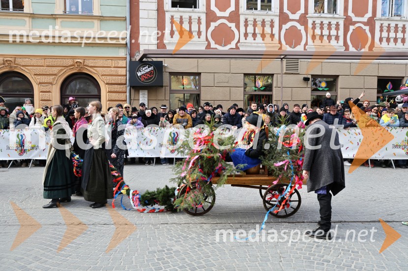 Mednarodna pustna karnevalska povorka 2026, Ptuj