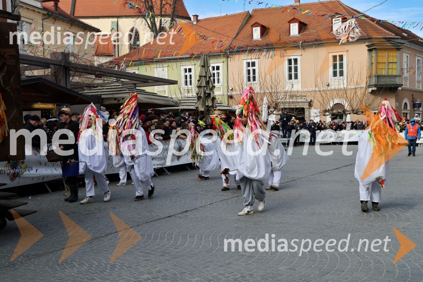 Mednarodna pustna karnevalska povorka 2026, Ptuj