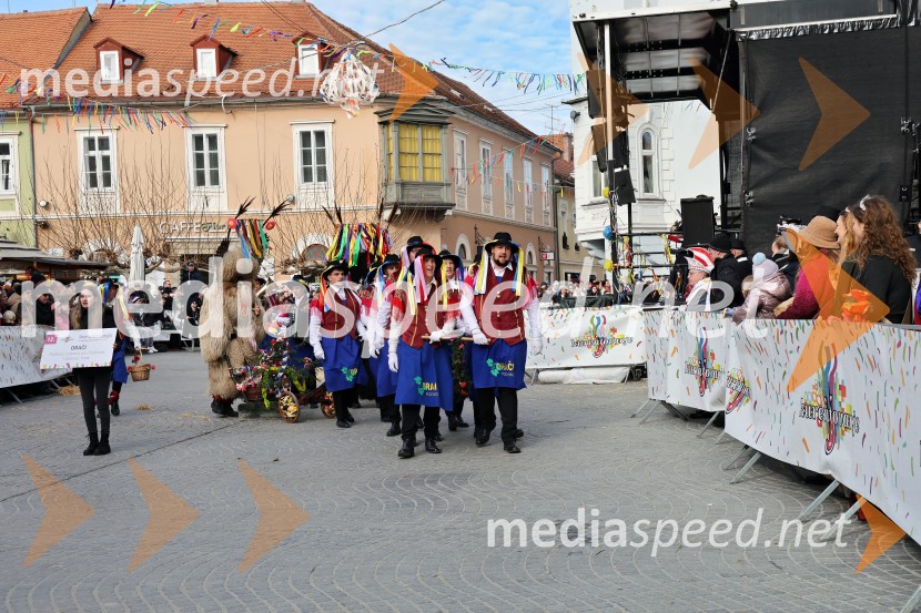 Mednarodna pustna karnevalska povorka 2026, Ptuj