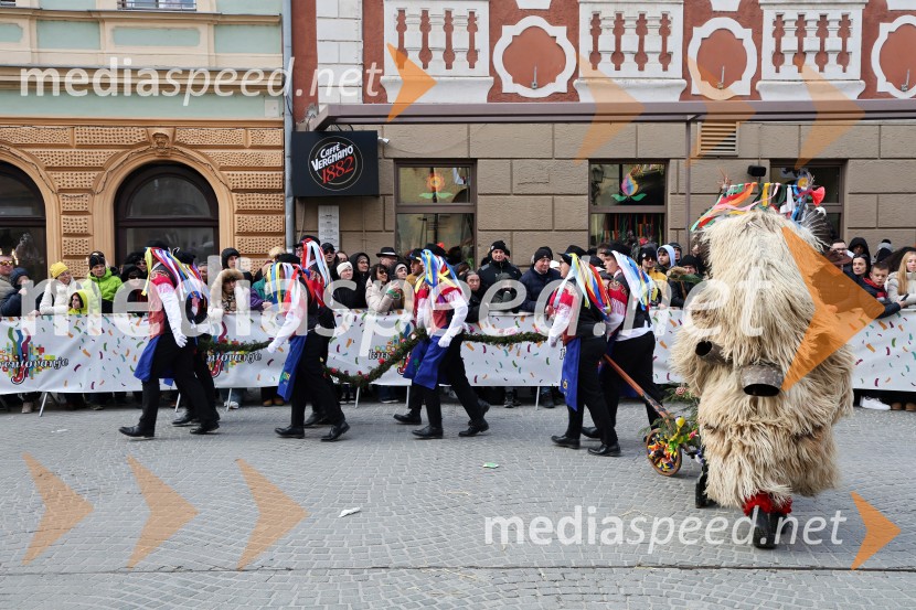 Mednarodna pustna karnevalska povorka 2026, Ptuj