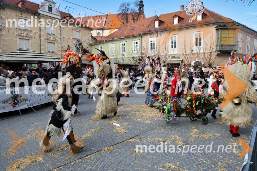 Mednarodna pustna karnevalska povorka 2026, Ptuj