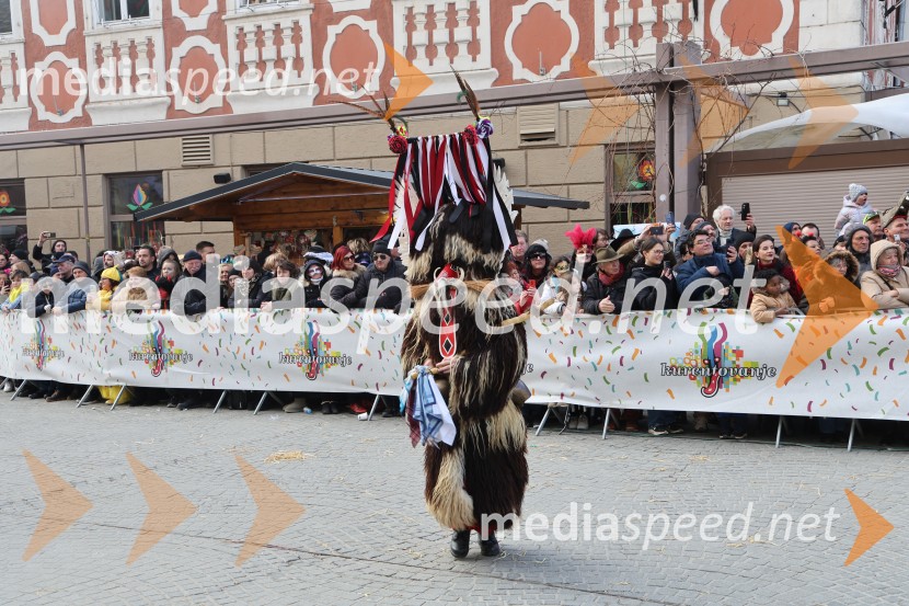 Mednarodna pustna karnevalska povorka 2026, Ptuj