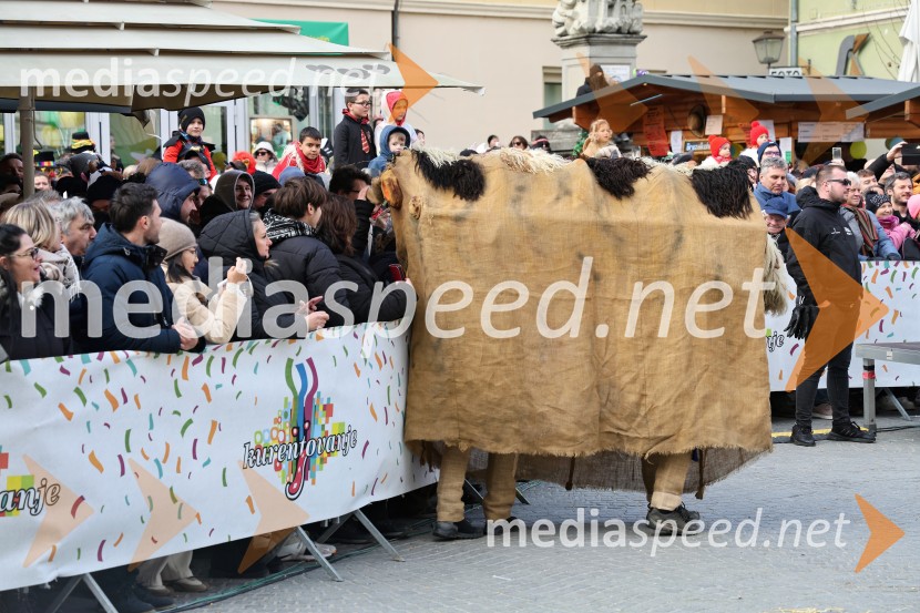 Mednarodna pustna karnevalska povorka 2026, Ptuj