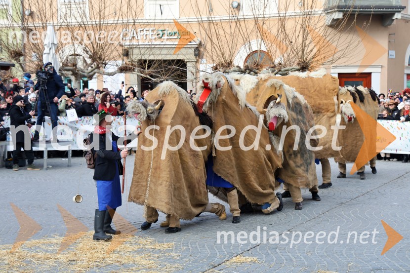 Mednarodna pustna karnevalska povorka 2026, Ptuj
