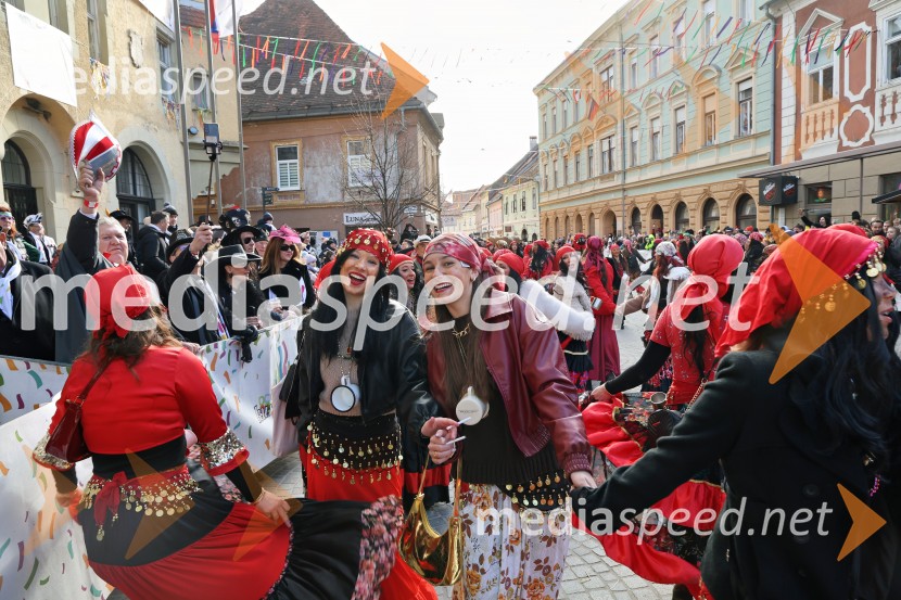 Mednarodna pustna karnevalska povorka 2026, Ptuj