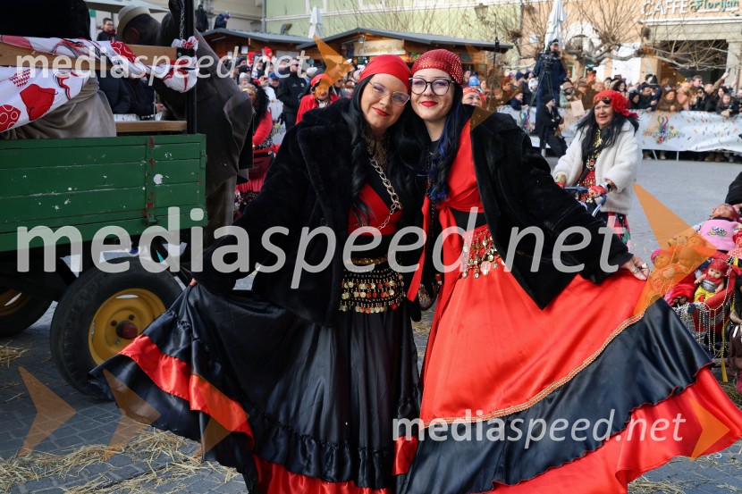 Mednarodna pustna karnevalska povorka 2026, Ptuj