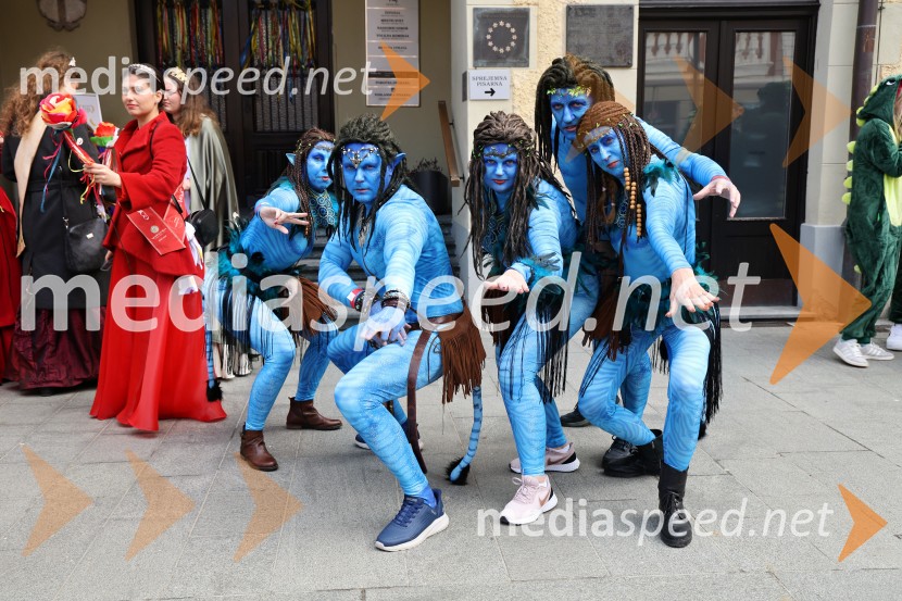 Mednarodna pustna karnevalska povorka 2026, Ptuj