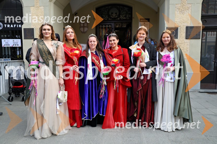 Mednarodna pustna karnevalska povorka 2026, Ptuj