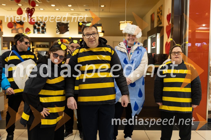 Zabava z navihano Doti in kurenti, Citycener Celje