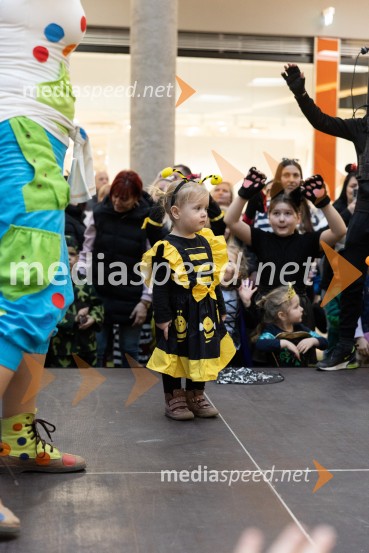 Zabava z navihano Doti in kurenti, Citycener Celje