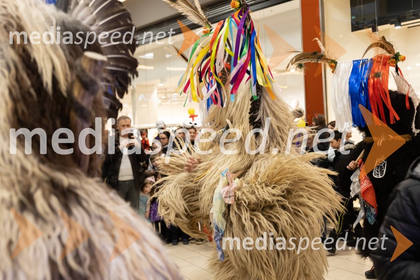 Zabava z navihano Doti in kurenti, Citycener Celje