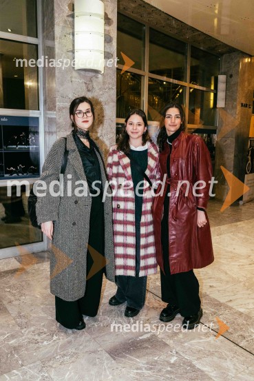 V potu mojega obraza,  krstna uprizoritev koreografskega eseja, SNG Nova Gorica