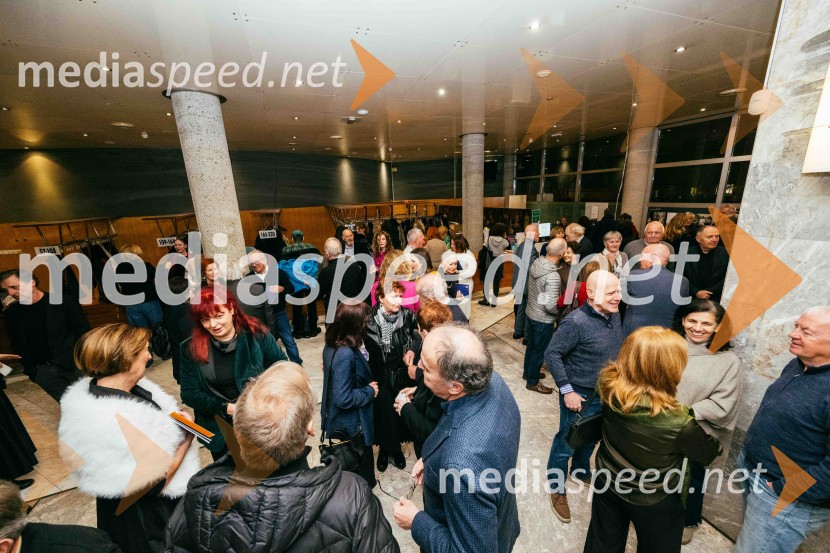 V potu mojega obraza,  krstna uprizoritev koreografskega eseja, SNG Nova Gorica