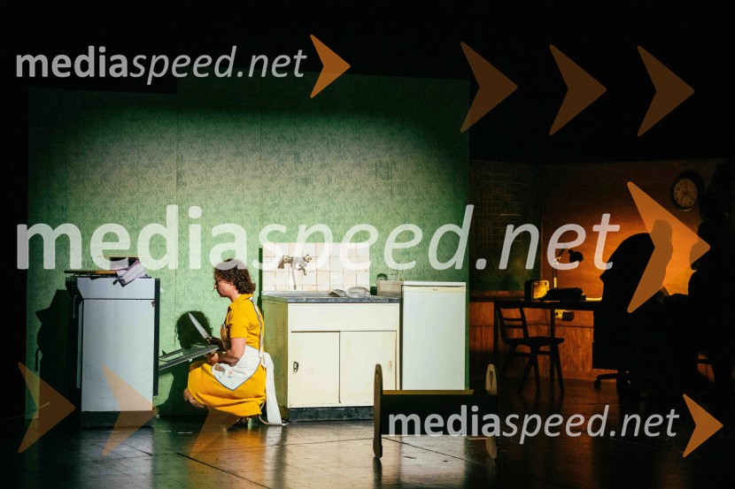 V potu mojega obraza,  krstna uprizoritev koreografskega eseja, SNG Nova Gorica