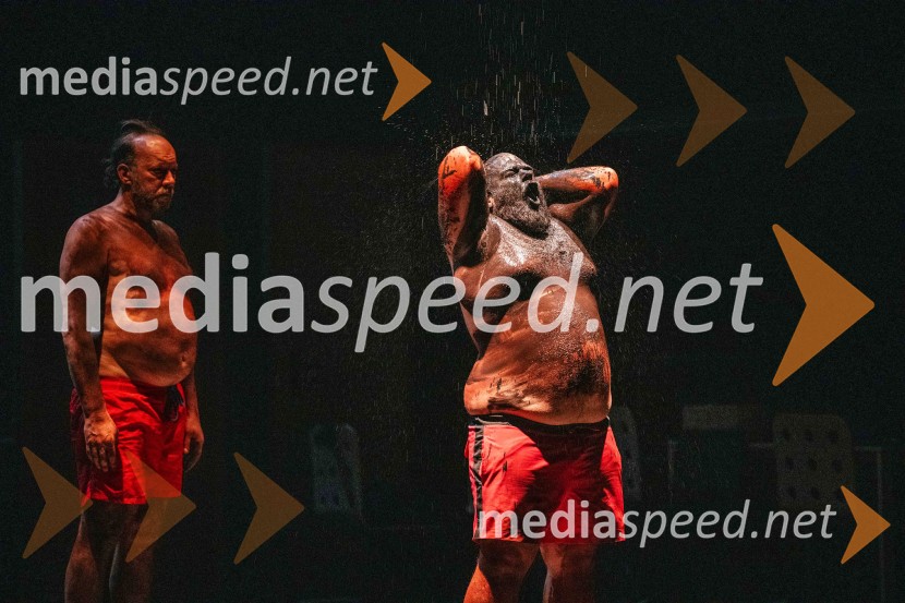 V potu mojega obraza,  krstna uprizoritev koreografskega eseja, SNG Nova Gorica