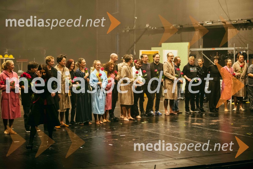 V potu mojega obraza,  krstna uprizoritev koreografskega eseja, SNG Nova Gorica