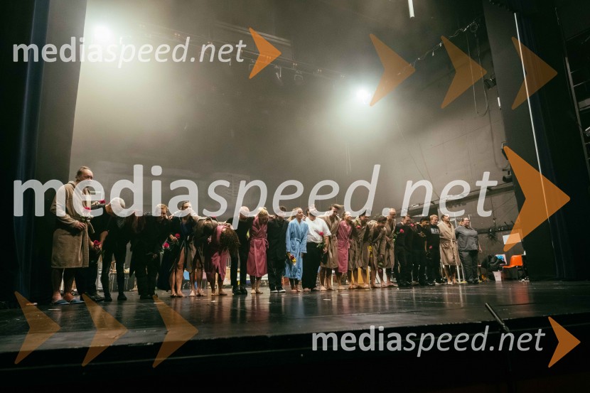 V potu mojega obraza,  krstna uprizoritev koreografskega eseja, SNG Nova Gorica