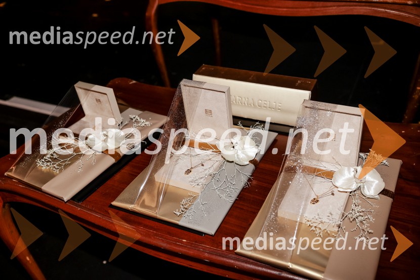 Dnevi komedije, svečani zaključek s podelitvijo nagrad, SLG Celje