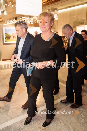 Budimpeški koncertni simfonični orkester, Cankarjev dom