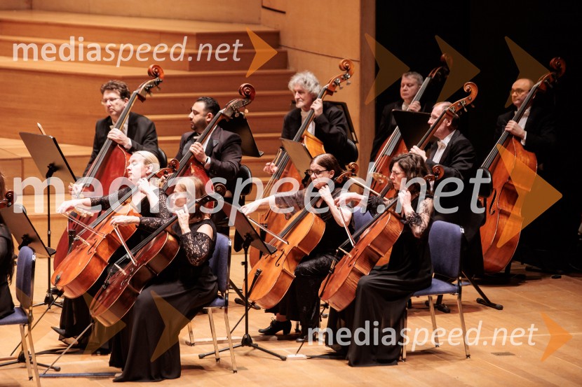 Budimpeški koncertni simfonični orkester, Cankarjev dom