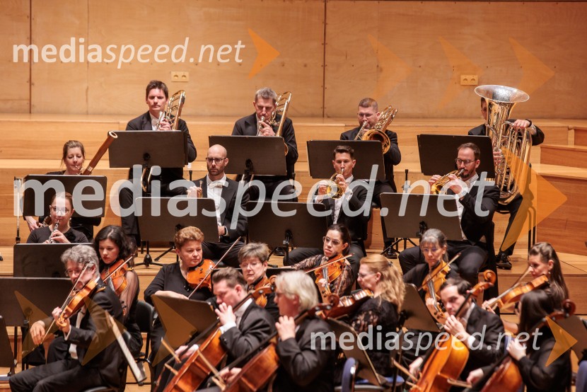 Budimpeški koncertni simfonični orkester, Cankarjev dom