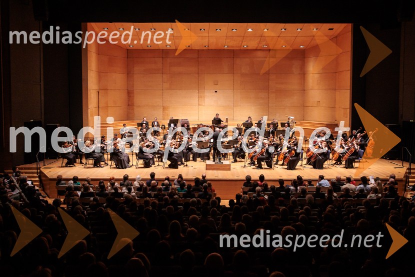 Budimpeški koncertni simfonični orkester, Cankarjev dom