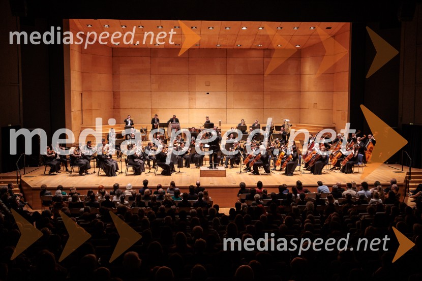 Budimpeški koncertni simfonični orkester, Cankarjev dom