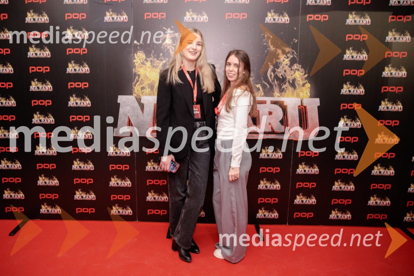 Na žaru z Ladom Bizovičarjem, Modrijani