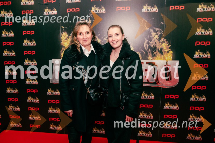 Na žaru z Ladom Bizovičarjem, Modrijani