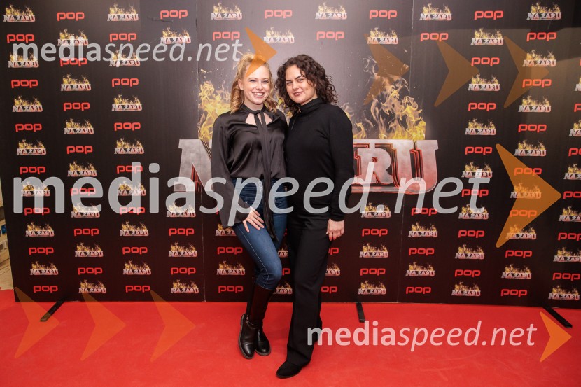 Na žaru z Ladom Bizovičarjem, Modrijani