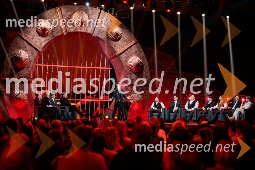 Na žaru z Ladom Bizovičarjem, Modrijani