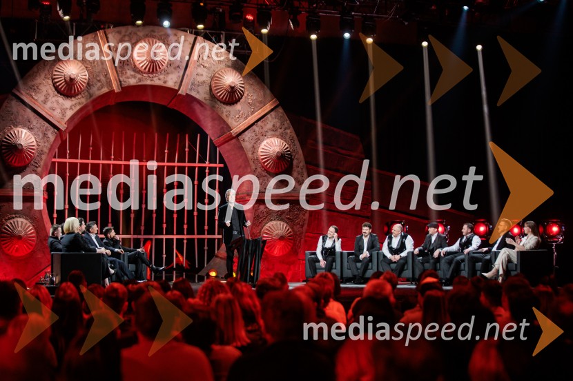 Na žaru z Ladom Bizovičarjem, Modrijani