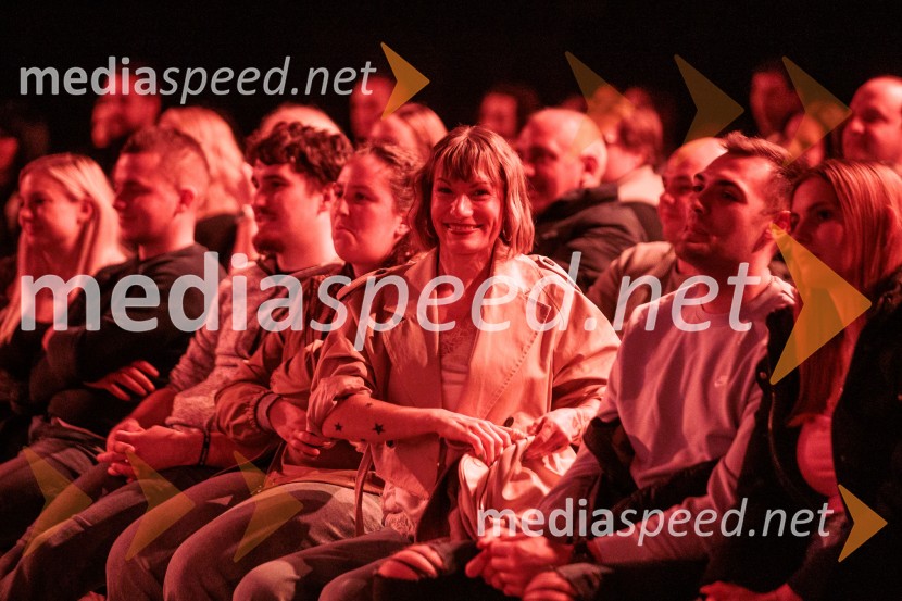 Na žaru z Ladom Bizovičarjem, Modrijani