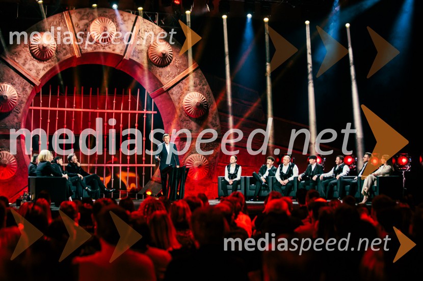 Na žaru z Ladom Bizovičarjem, Modrijani