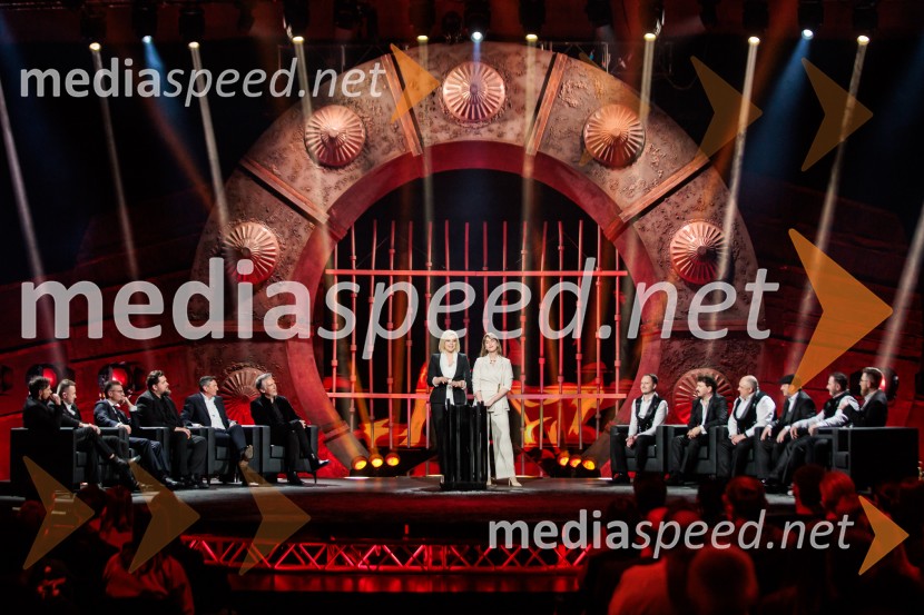 Na žaru z Ladom Bizovičarjem, Modrijani