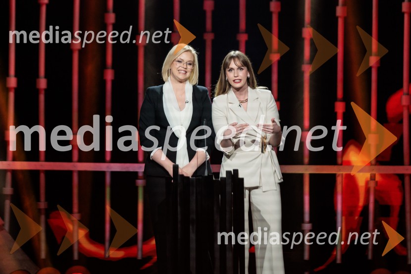 Na žaru z Ladom Bizovičarjem, Modrijani