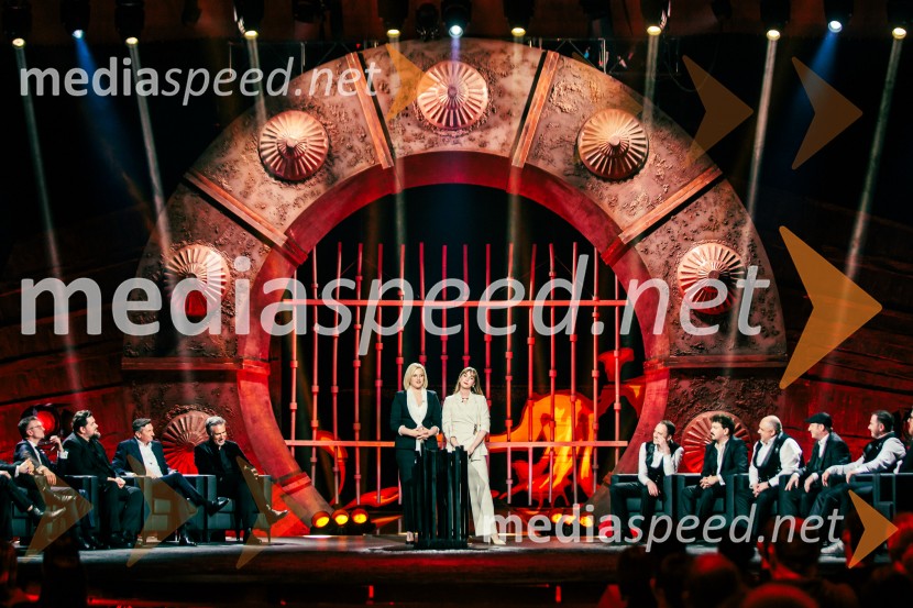 Na žaru z Ladom Bizovičarjem, Modrijani