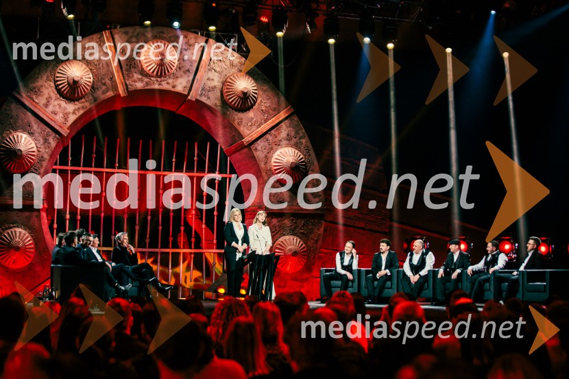 Na žaru z Ladom Bizovičarjem, Modrijani